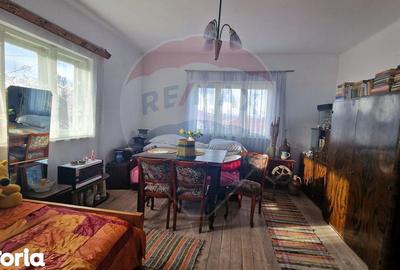 Casă cu 3 camere cu Teren 2500 Mp în Central - 9