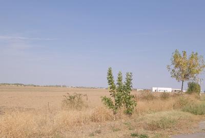 Teren Construcții intravilan de 57000 mp, în Exterior Sud - 11