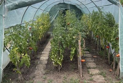 Casa | 9 camere | Garaj | Piscina | Teren 3.000 mp | Comision 0% - 43