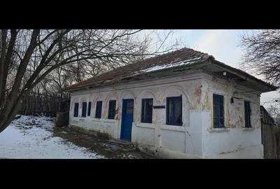 Casa + teren 4.021 mp in comuna Goie?ti - 3