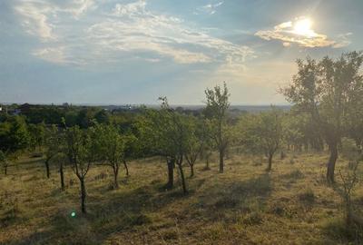 Teren intravilan, localitatea Gageni-Prahova.