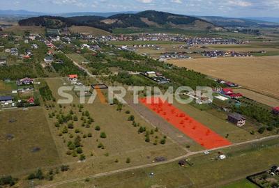 Teren intravilan Livada Sanpetru - 2