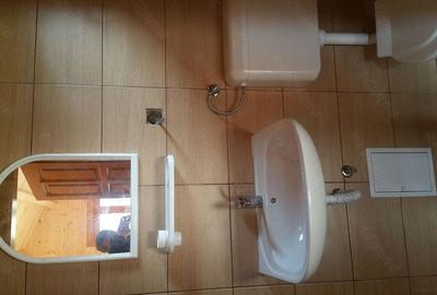 Casă cu 2 camere în Bradu - 7