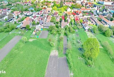 Spațiu comercial, în Prejmer - 3