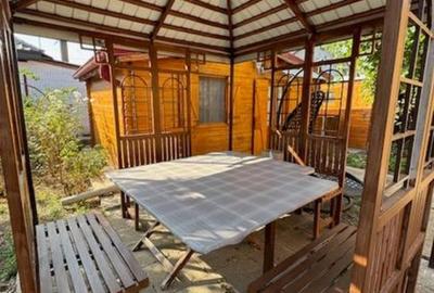 Valu Traian , casa cu teren si livada - 9