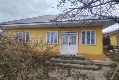 Casă cu Teren 4800 Mp în Stoișești - 3