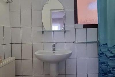 Casă în Viile Satu Mare - 11