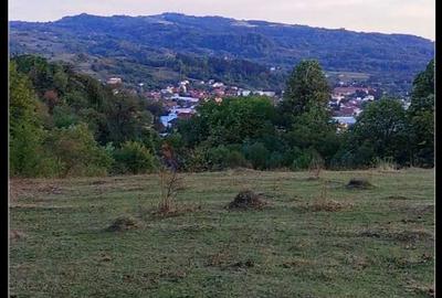 Spațiu comercial, în Central - 3