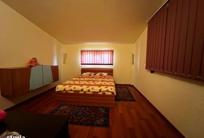 Vila 5 camere, 5 bai. 1200 mp curte, 230 utili.Situata in Buziaș/Timiș - 17