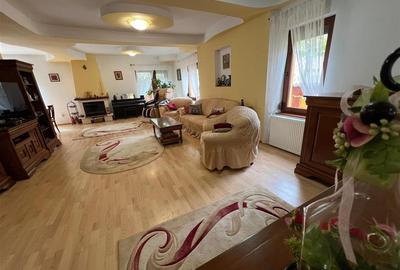 Proprietate deosebita de vanzare in centrul Bacaului- eleganta, istorie si inves - 16