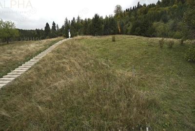 Spațiu comercial, de 390 mp, în Colibița - 19