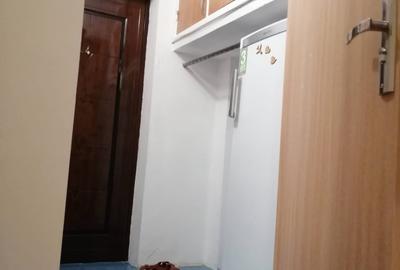 Dristor, garsoniera langa metrou, 350 euro, libera - 4