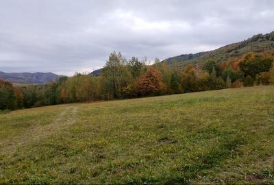 Teren ideal recreere/conectare cu natura/zona Fagaras/achitare in rate - 11