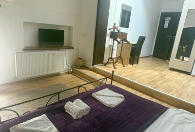 Garsonieră decomandată, mobilată în Eminescu - 18