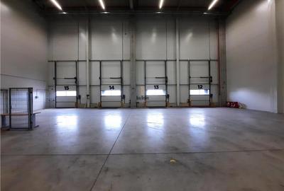 Spatiu Industrial - 1500 mp - Logistica - Productie - Depozitare - 5