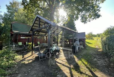 Teren de 2000 mp, în Sadu - 11