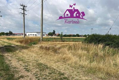 Teren la intrare in localitatea Gepiu Teren la intrare in localitatea Gepiu - 3