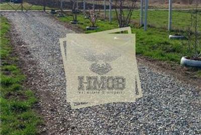 Teren extravilan de 700 mp, în Șura Mare - 11