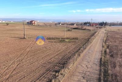 Teren Construcții intravilan de 3600 mp, în Dumbrava Roșie - 6