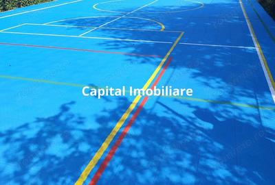 Vila superba 7 camere, Provita de Jos, 22.000 mp teren - 3