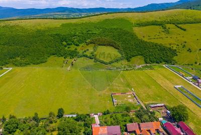 Teren Construcții intravilan de 612 mp, în Zizin - 7