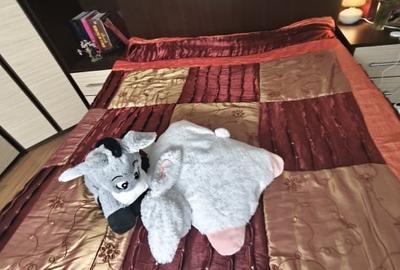 Vanzare Casa cocheta din bca in Navodari cu toate dotarile - 9