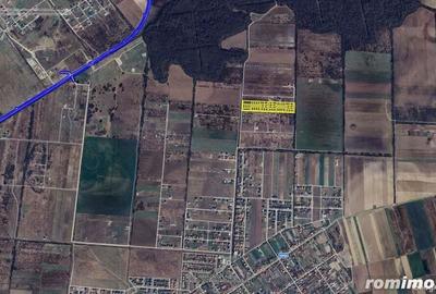 Terenuri Mosnita, Padurea Bistra, cu utilitati: 80euro/mp+TVA - 1