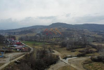 Teren 36000 m2, intravilan+partial extravilan, cadastru, Draganeasa PH - 8
