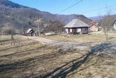 Teren de 1600 mp, în Vișeu de Mijloc - 4