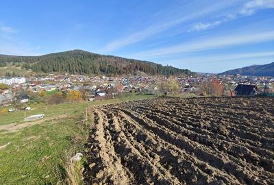 Teren cu suprafata de 3360 mp in Gura Humorului-Toaca-Boureni - 13