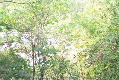 Brasov-Schei -Teren intravilan de vanzare Brasov-Schei -Teren intravilan de vanzare - 4