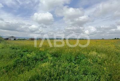 Teren de vanzare in zona Parcului Industrial Sura Mica cu acces camion - 3