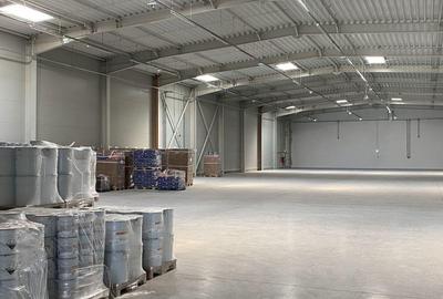 Hala complet echipata, nou construita langa aeroportul interna?ional Traian Vuia - 12