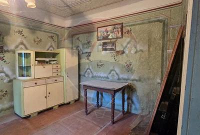 Teren si casa cu teren generos in Socodor - 3