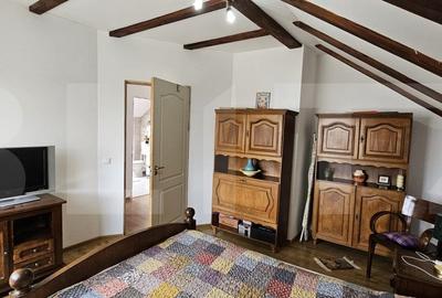 Casa deosebita, 128 mp, 569 mp teren, in Santionlunca - 17