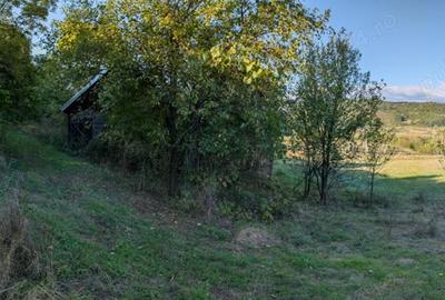 Casa ?araneasca cu livada ?i gradina mare,Vata de jos,Hunedoara - 2