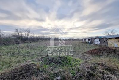 Casă individuală cu 4 camere cu Canalizare în Seceani - 14