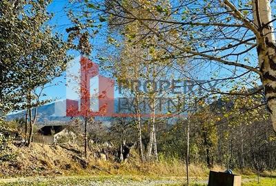 Teren Bran / Predelut cu priveliste 1840mp - 8