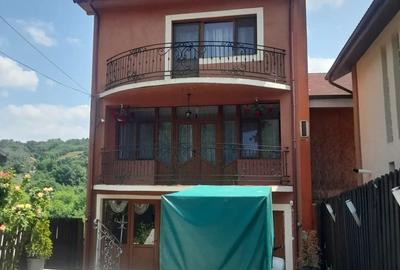 Casa Leamna de jos - 4