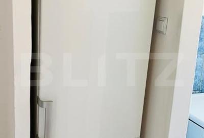 Apartament cu o camera, Sangeorgiu de Mures - 7