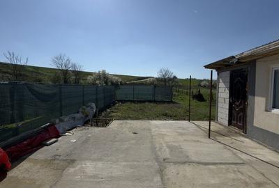 Teren de 1440 mp, în Pleșoiu - 8