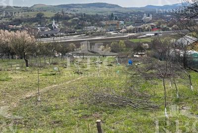 Teren extravilan de 6300 mp, în Gârbău - 5