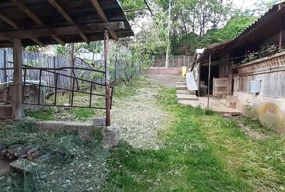 Casă cu 5 camere cu Teren 4500 Mp în Bâscenii de Sus - 3