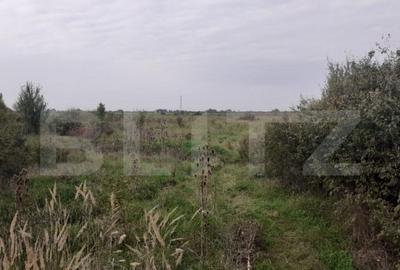 Teren de 39600 mp, PUZ, langa Statia de Epurare - 2