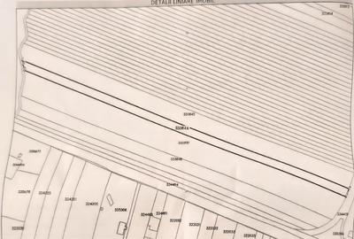 Teren de 10000 mp, în Vladimirescu - 2