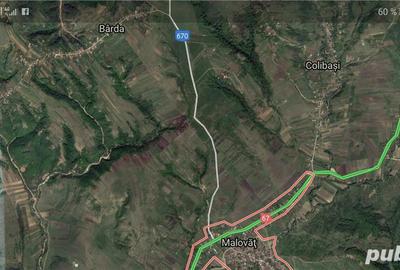 Teren de 11000 mp, în Malovăț - 1