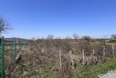 Teren în Islaz - 3