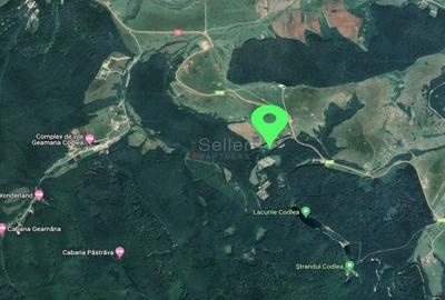 Teren Intravilan - Amplasare Unica - 36