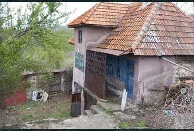 Casă cu 2 camere cu Teren 2279 Mp în Podeni - 4