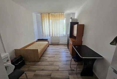 Garsoniera Nicolae Dobrin, parter - 2